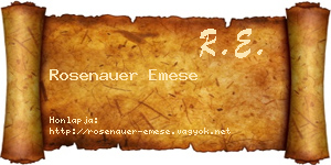 Rosenauer Emese névjegykártya